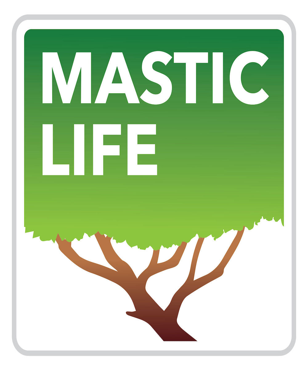 Already 15 Years with You! Masticlife Celebrates Anniversary
