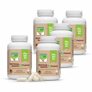 Mastic+ Prebiotic Economy 800 capsules – Chios mastic with inulin prebiotic fiber